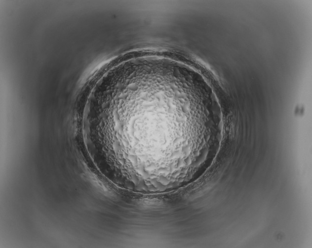 X0000091341448200708171401