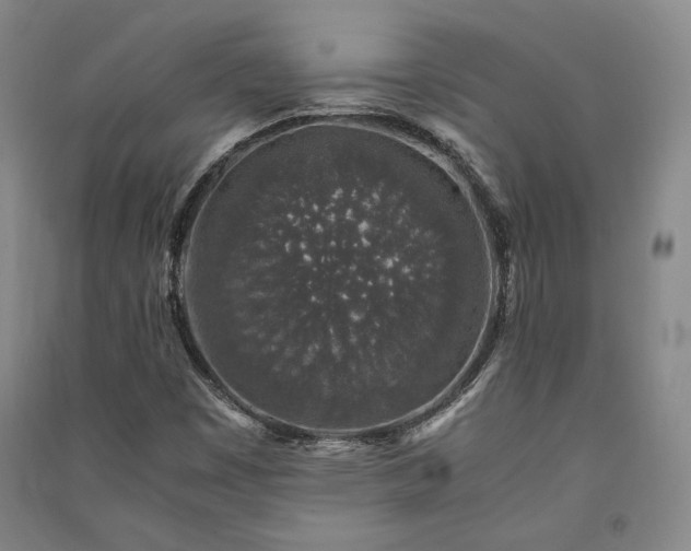 X0000091341449200708171401