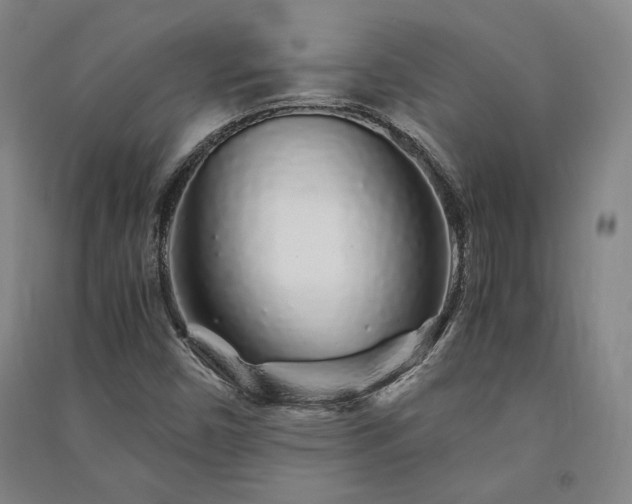 X0000091341450200708171401
