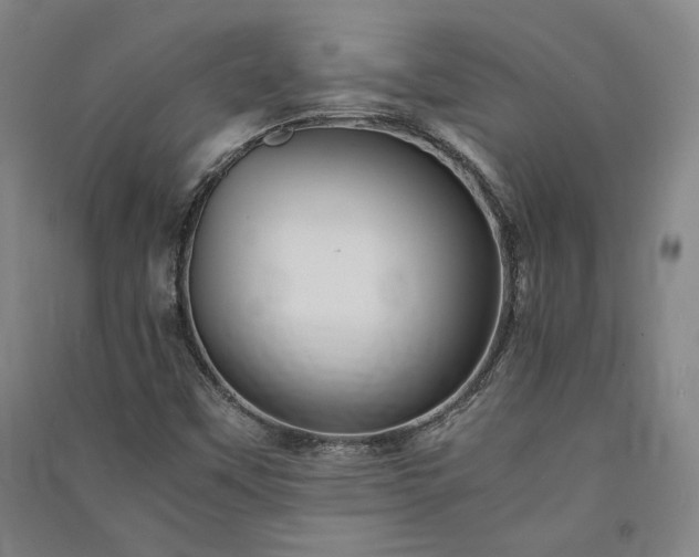 X0000091341451200708171401