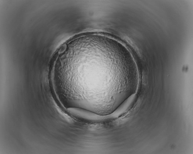 X0000091341452200708171401