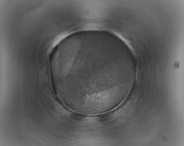 X0000091341453200708171401