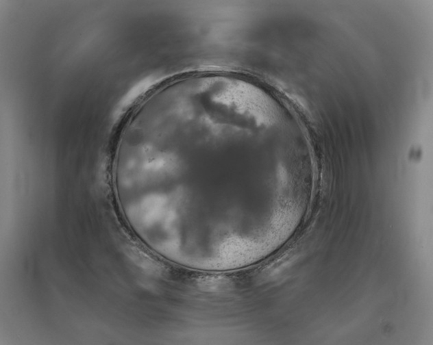 X0000091341454200708171401