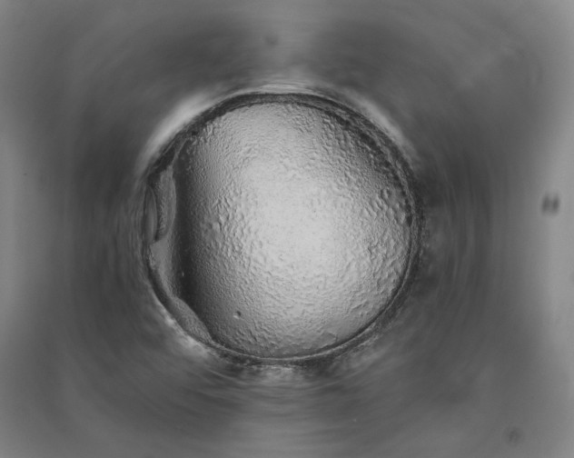 X0000091341456200708171401