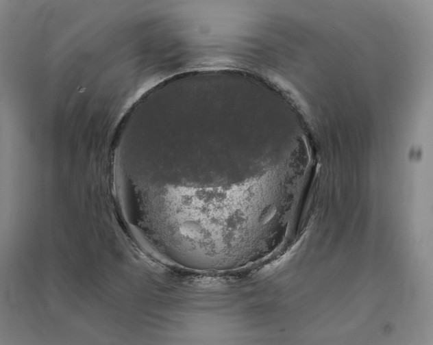 X0000091341457200708171401
