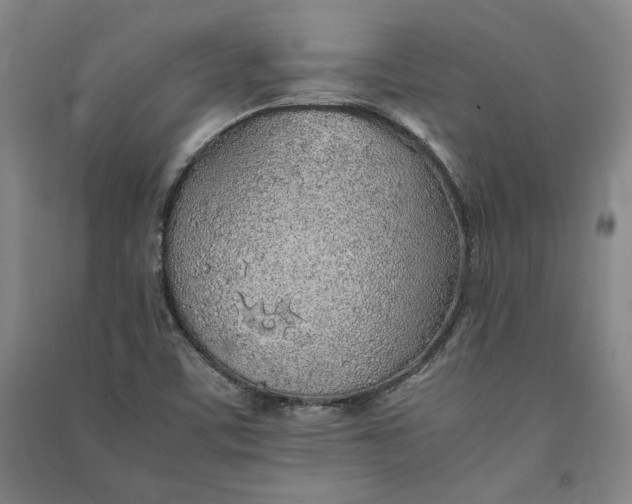 X0000091341459200708171401