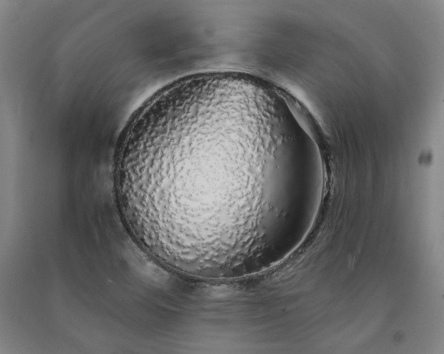X0000091341460200708171401