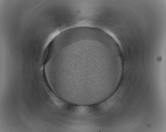 X0000091341461200708171401