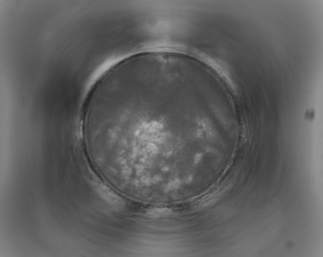 X0000091341462200708171401