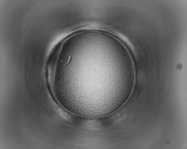 X0000091341464200708171401
