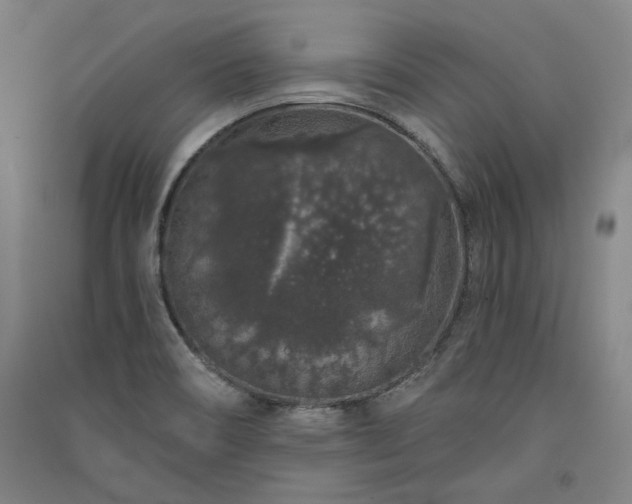 X0000091341466200708171401