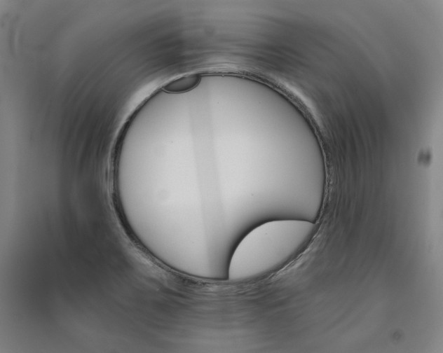 X0000091341467200708171401