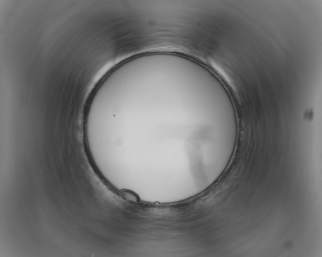 X0000091341468200708171401