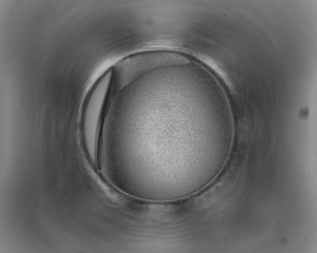 X0000091341469200708171401