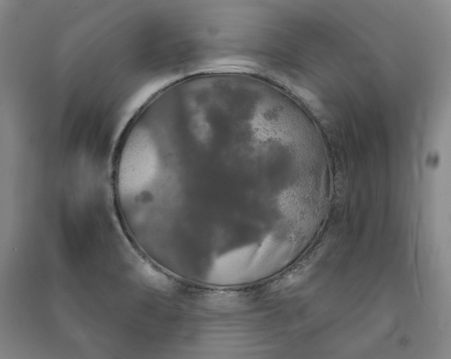 X0000091341470200708171401