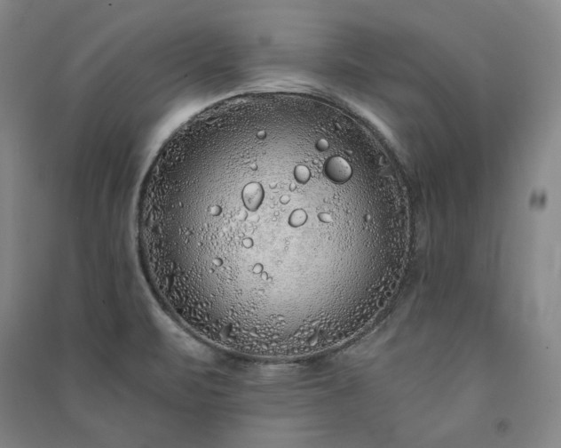 X0000091341471200708171401