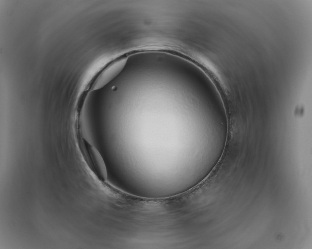 X0000091341472200708171401