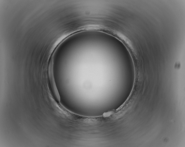 X0000091341473200708171401