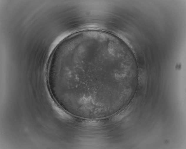 X0000091341474200708171401