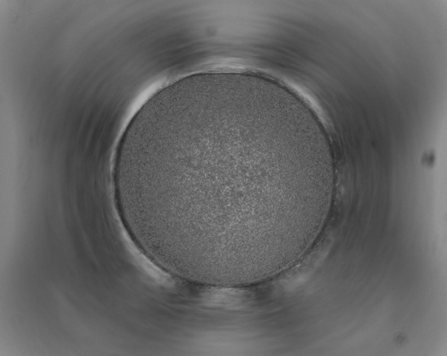 X0000091341475200708171401