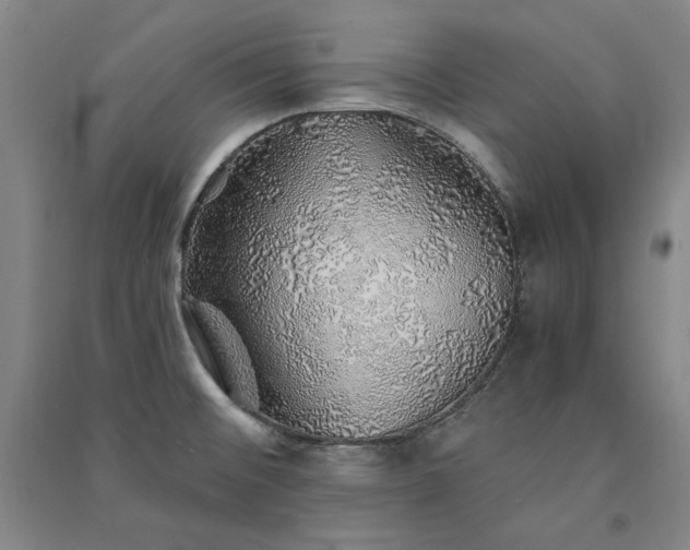 X0000091341476200708171401