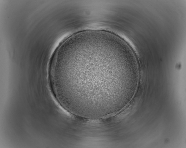 X0000091341477200708171401