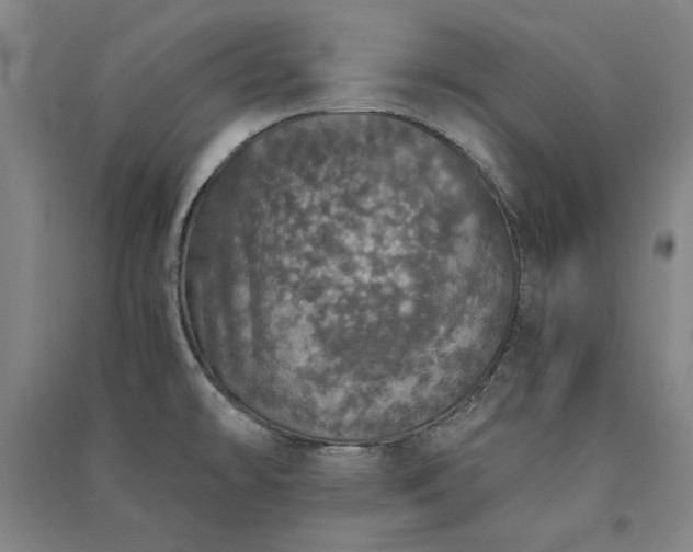 X0000091341478200708171401