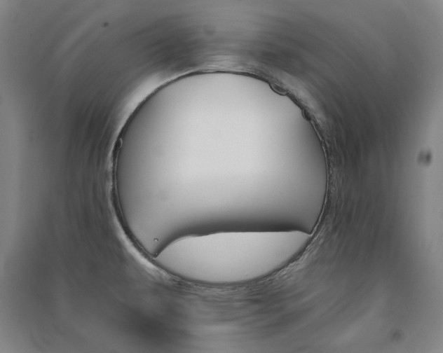 X0000091341479200708171401