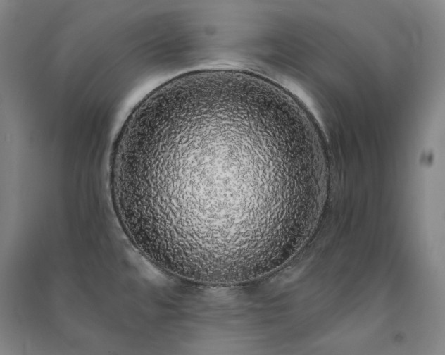 X0000091341480200708171401