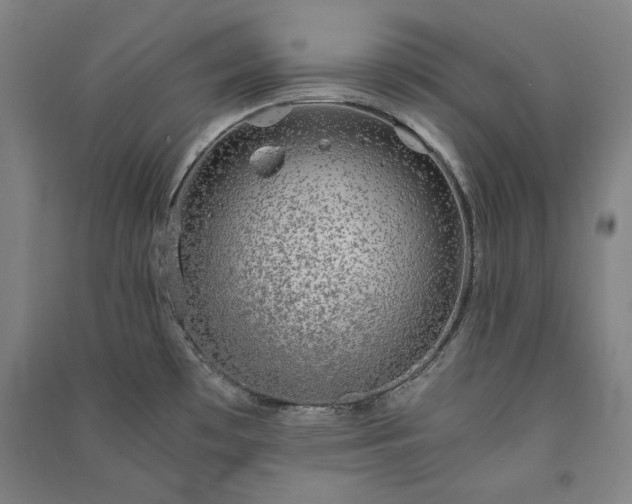 X0000091341481200708171401
