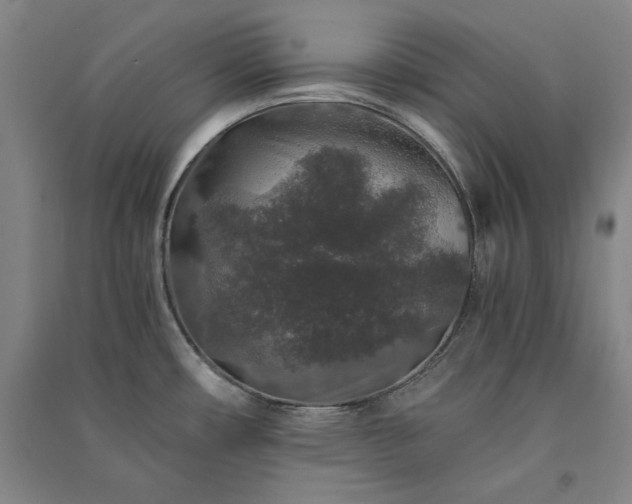 X0000091341482200708171401