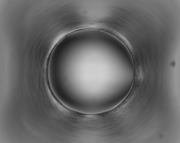 X0000091341483200708171401