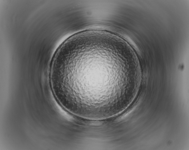 X0000091341484200708171401