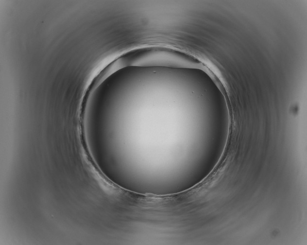 X0000091341485200708171401