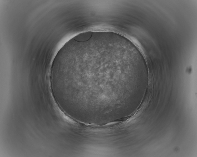 X0000091341486200708171401