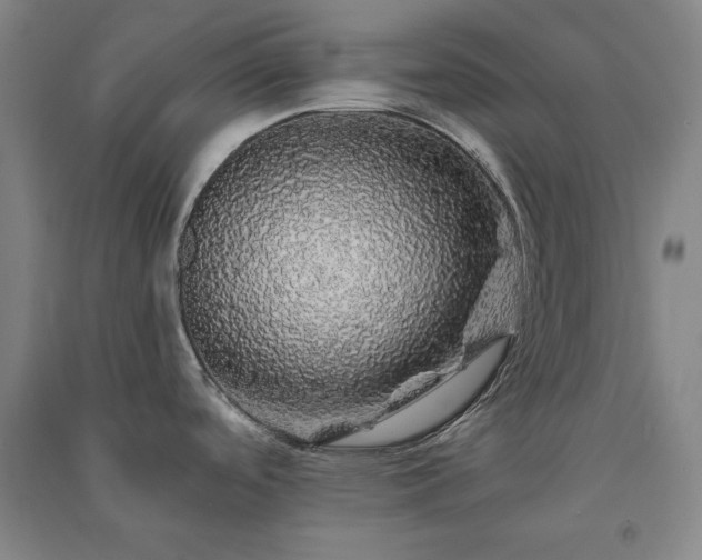 X0000091341488200708171401