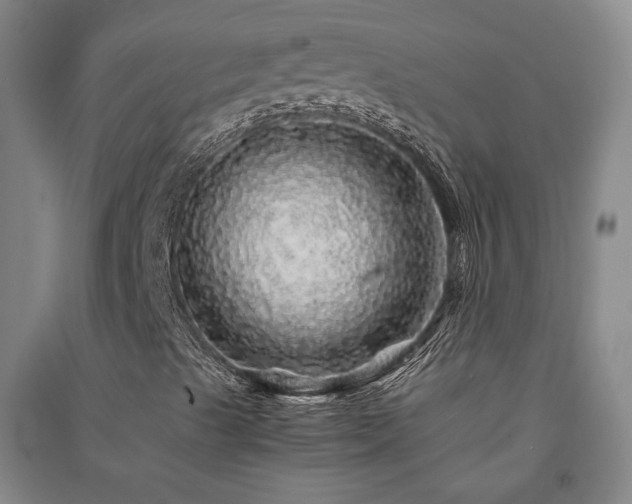 X0000091341489200708171400