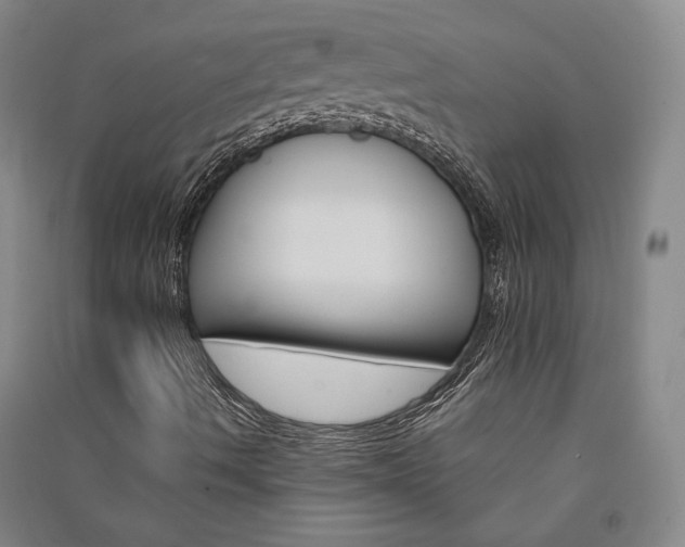 X0000091341490200708171400