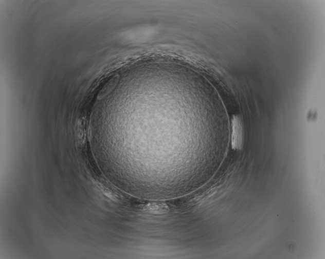 X0000091341491200708171400