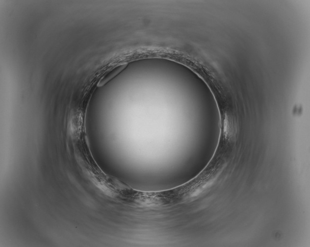 X0000091341492200708171400