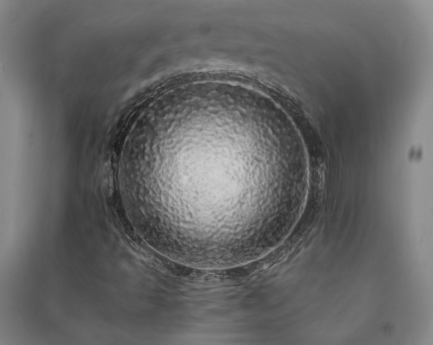 X0000091341493200708171400