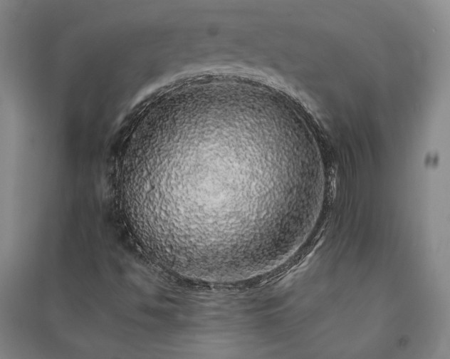 X0000091341494200708171400