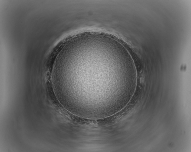 X0000091341495200708171400