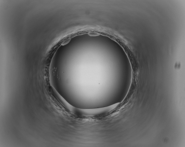 X0000091341496200708171400