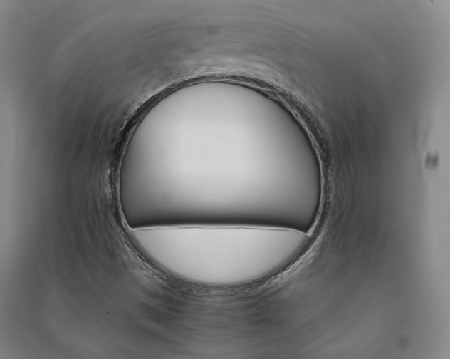X0000091341497200708171400