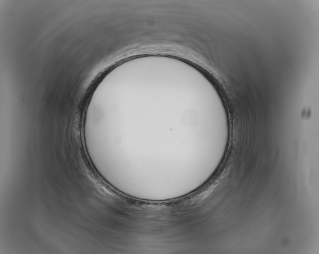 X0000091341498200708171400