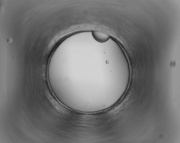 X0000091341499200708171400