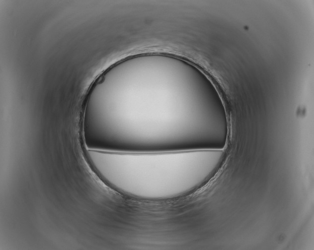X0000091341500200708171400