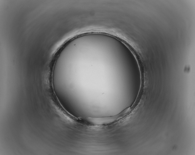 X0000091341502200708171400