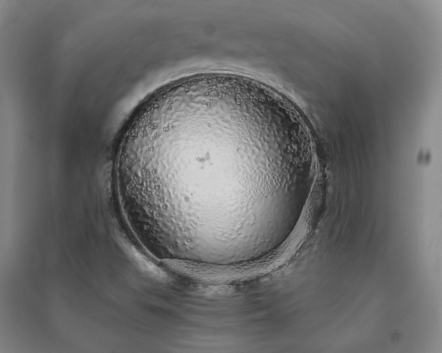 X0000091341503200708171400